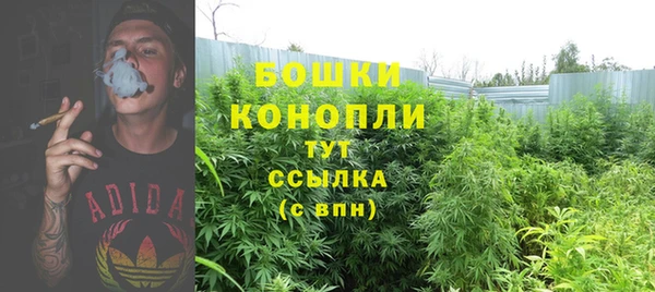 прущие крисы Белокуриха