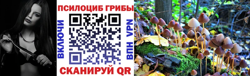 нарко площадка состав  Полесск  Галлюциногенные грибы Magic Shrooms 